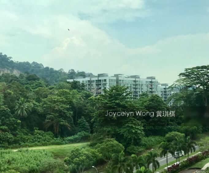 Springdale Condominium (D21), Condominium #156317992